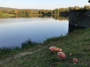 Pronájem chata s bazénem Seč - Kraskov