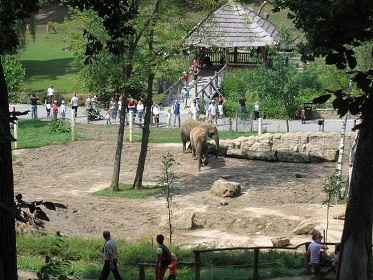 Chata na samot� - baz�n a h�i�t� - Host�nsk� vrchy