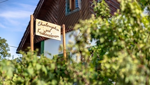 Chalupa pro děti - sauna a koupací sud - hrad Pecka