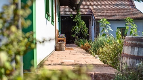 Chalupa pro děti - sauna a koupací sud - hrad Pecka