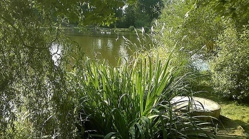 Chalupa �esk� Kanada - Moravsk� Dyje - Da�icko