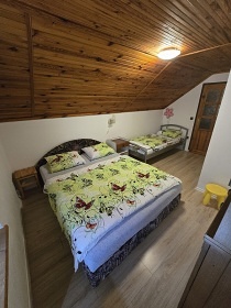 Chata Blan�k s baz�nem - z�mek Konopi�t�