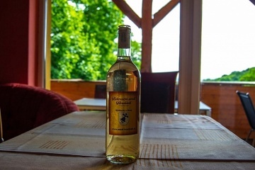 Chata s bazénem - Bílé Karpaty - Velké Pavlovice
