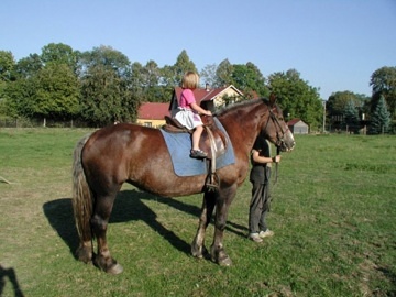 Penzion s baz�nem - Singltrek - CHKO Jizersk� hory