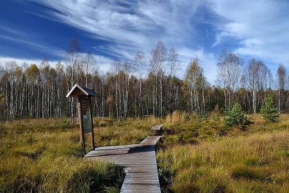 Chalupa Boubnsk prales - Lenora - umava