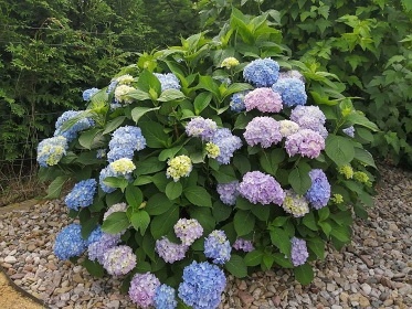 Chalupa s baz�nem �esk� r�j - Kloko�sk� sk�ly