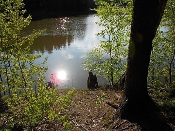 Chaty Vyso�ina - Radost�n nad Oslavou