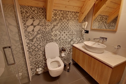 Roubenka s wellness - �ern� hora - Krkono�e