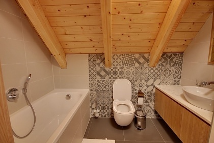 Roubenka s wellness - �ern� hora - Krkono�e