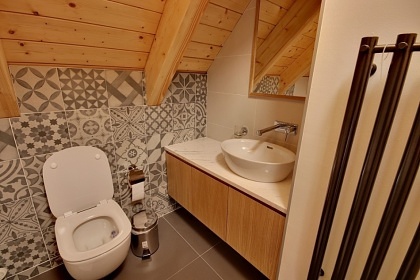 Roubenka s wellness - �ern� hora - Krkono�e