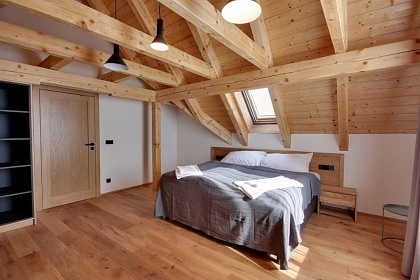 Roubenka s wellness - �ern� hora - Krkono�e