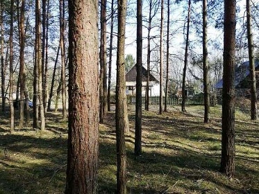 Chalupa u Holansk�ch rybn�k� - M�ch�v kraj