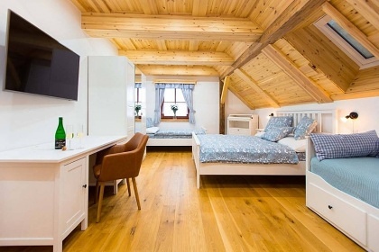 Wellness chalupa Doln� Morava - Chlum a Slamn�k