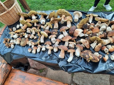 Chalupa a vinn sklep - Broumovsk stny