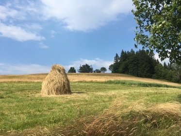 Chata s v�hledem Vala�sko - cyklostezka Be�va