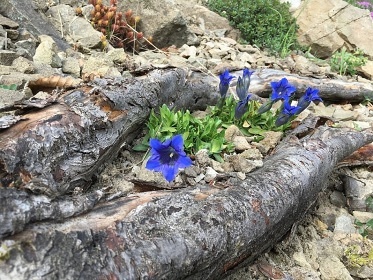 Chata s v�hledem Vala�sko - cyklostezka Be�va