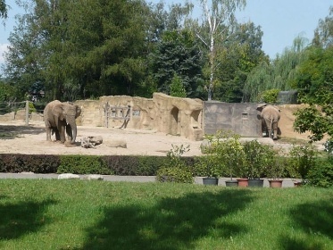 Chalupa s baz�nem - Dv�r Kr�lov� nad Labem