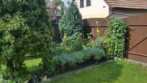 Chalupa Opočenský zámek - Podkostelí a Švamberk