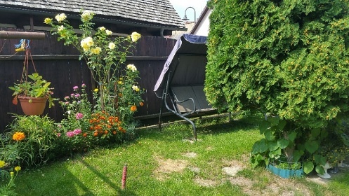 Chalupa Podorlicko - Podkostel� a �vamberk