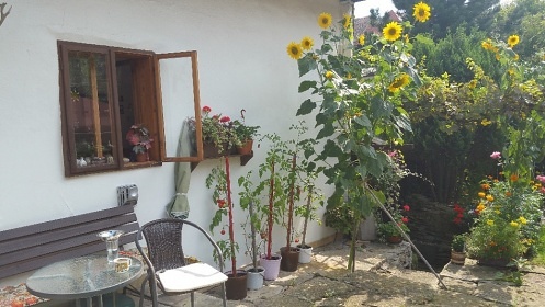 Chalupa Opočenský zámek - Podkostelí a Švamberk