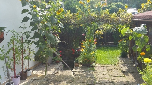 Chalupa Podorlicko - Podkostel� a �vamberk