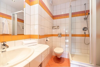 Penzion bazén a wellness - Krušné hory - Boží Dar