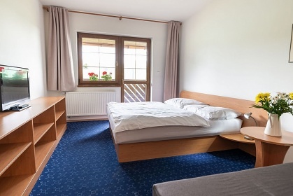 Penzion bazén a wellness - Krušné hory - Boží Dar