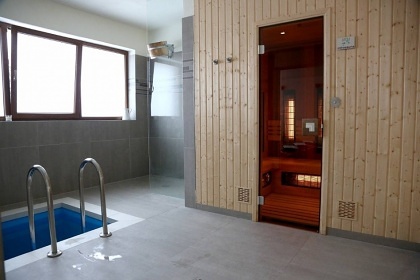 Penzion bazén a wellness - Krušné hory - Boží Dar