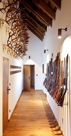 Chalupa Ch�iby - samota a lesy - hrad Buchlov