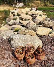 Srub Šumavský Balvan - Strážný - NP Šumava