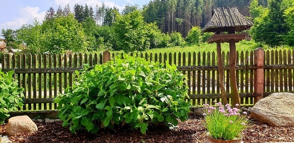 Chalupa s baz�nem - Park Mon�nec - Zoo V�trovy