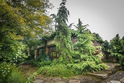 Luxusn srub - bazn a wellness - esk rj