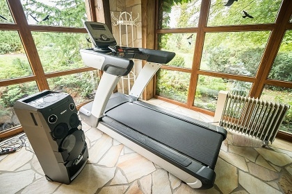 Luxusn srub - bazn a wellness - esk rj