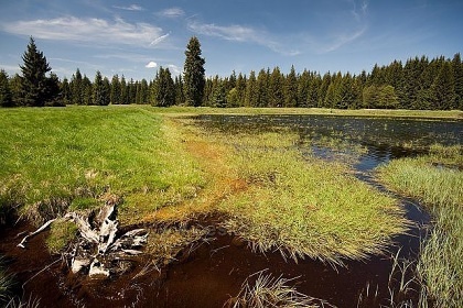 Chalupa Slavkovsk� les - hrad Be�ov nad Teplou