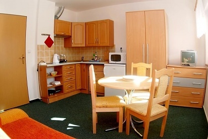 Apartmán Skicentrum Studenov - Rokytnice n. J.