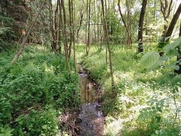 Chata u řeky Lužnice - Kořensko - Týn nad Vltavou