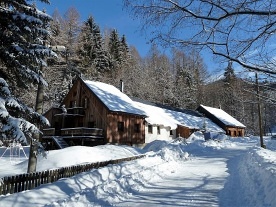 Chata Pelikán - Loučná nad Desnou - Kouty