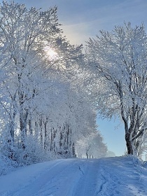 Horsk� chalupa - Kr�lick� Sn�n�k - Doln� Morava