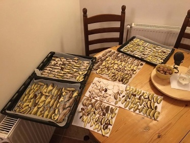 Chalupa u lesa - Krkonoše - Malé Labe - Strážné