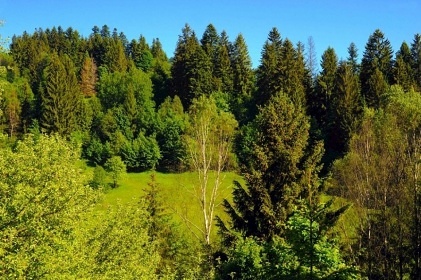 Chata s bazénem - Kysuce - Veká Rača - Očadnica