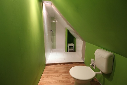 Rouben� chalupa s baz�nem - CHKO Orlick� hory