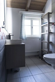 Roubenka s wellness - Dolní Morava - Bukovka