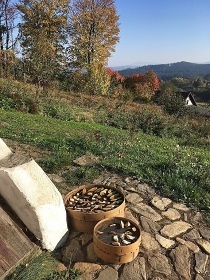 Chalupa U Vincků - Úbislav V Dílech - Šumava