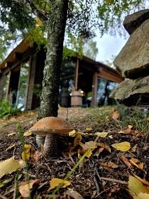 Chata Vysoina - sauna a koupac sud - Ruda