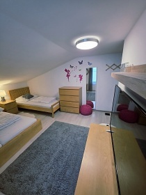 Chata Vysoina - sauna a koupac sud - Ruda