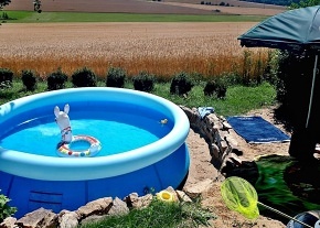 Chata Vysočina - sauna a koupací sud - Ruda