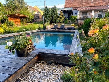 Chalupa bazn a vinn sklpek - Nov Mlny - Plava