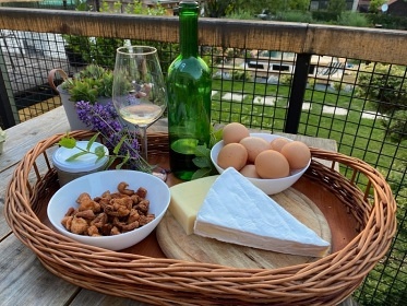 Chalupa bazn a vinn sklpek - Nov Mlna - Plava