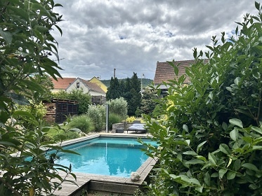 Chalupa baz�n a vinn� sklep - Nov� Ml�ny - P�lava