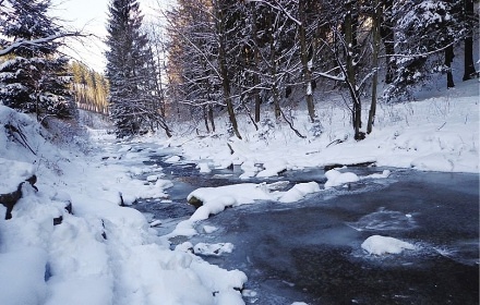 Chalupa se saunou - Lys hora - Beskydy